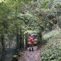 Go under the old railway bridge which now holds the greenway. Then through a gate under the trees.