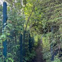 Soon after passing the library, turn left to walk down the narrow dirt path.