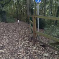 Join the shared walking and cycling path off Hutcliffe Wood Road