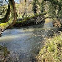 You’ll shortly reach the brook. It was very full and fast flowing when we visited so take care.