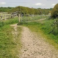 Go through the gate and keep straight on, avoiding minor paths to the left and right.