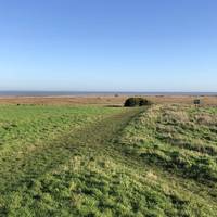 Continue towards the sea and admire Bradwell Shell Bank Nature Reserve. Turn right briefly if you want to stop in at the bird observatory.