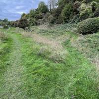 At the first small fork, head right to go down into the old canal basin and up the other side.