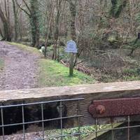 Follow the National Trust path to the beach at Pendower.