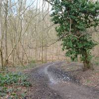 Continue following the path as it veers right. The path may be very muddy, so you may want to walk through the trees to avoid the mud.