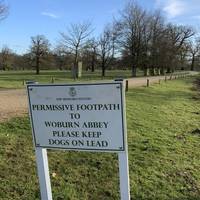 At the top of the hill, turn right to follow the access road towards the Abbey. Just beware of cars coming from behind you.