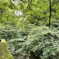 When you get to Colinton, look for Robert Louis Stevenson river walk signs, and stick to the River Walk until you get back to Slateford