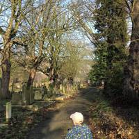 The nearest stations are Ladywell or Crofton Park. Follow the path on your immediate right as you enter the cemetery from Ivy Road.