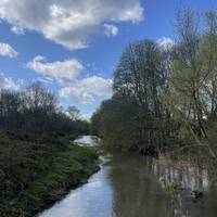 Cross the bridge over the River Roding, admiring the river, and turn right to continue on the path alongside the river.