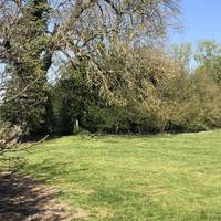 You are led to a large field with a wood at the back. You can go across to the wood and turn left or follow the footpath. 