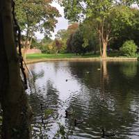 There are five ornamental lakes at Bradbourne, dating back to 1740.