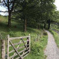 Travel along side the road for a short period until you get to a fork in the road. Take the left hand path heading to Tilberthwaite.