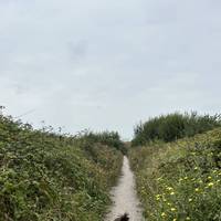 Exit the car park and follow the narrow, hard footpath into the reserve.