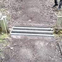 Cross the grate. The short walk you see around the reserve helps keep Great Crested Newts inside the reserve.