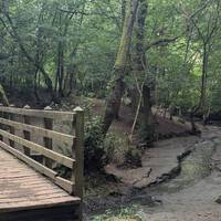 Stop for a paddle at this bridge before crossing