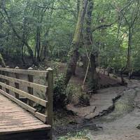 Stop for a paddle at this bridge before crossing it.