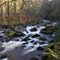 Your walk begins here at the rushing water or River Plym.