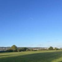 Hugeee open field with no one around, this is unheard of!