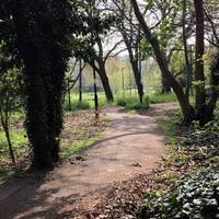 If you exit from the station platform take this pretty tree lined route into Ladywell Fields. 