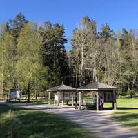 Learn more about the ancient forest, what animals you can find and where all the trails go here.