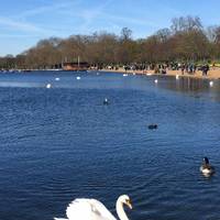 Fantastic view from the cafe next to the lake. There is also an outdoor BBQ burger hut that worth a visit 