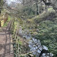 Walk across the Lapal Canal and admire the habitats here.