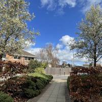 Continue on the paved path between flower beds and young trees.