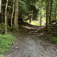 Follow the path through the wood