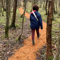 A path to the south to the community wood felling camp.