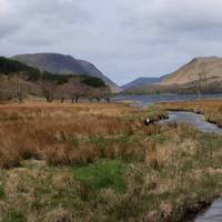 There's a nice bridge over this beck. 