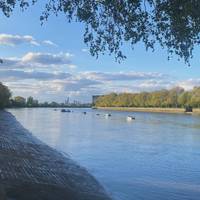 From the south of Putney Bridge, turn left to Lower Richmond Road and follow the Thames path towards a cluster of boathouses