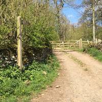 Turn next right and through the gate. Signposted Gunnerton Fell