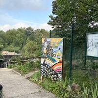 Welcome to St Ann’s Allotment Visitor Centre. It’s open Monday to Thursday, from 10am to 2pm. Gates are locked outside these times.