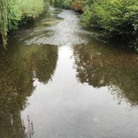 The River Darent runs through the picturesque Shoreham village. Explore the river before turning back towards the Kings Arms. 