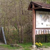 When you're ready to get going, walk down through the car park to reach a wooden bridge over a stream, located next to an information board.