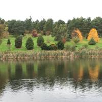 We came in Autumn when the leaves were changing colour. After your refreshment stop take a right and follow the path up.