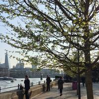 Old Father Thames, packed full of gems. 💎 At the south exit of Blackfriars start the discovery, this walk promises surprising skullduggery.