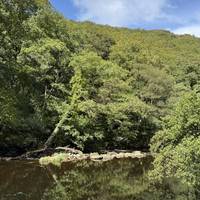 The trees will guide you for the remainder of this path and will be a combination of incline and decline.