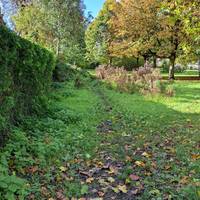 Follow this path along perimeter of park for approx 75 metres until you come to tree. Then turn right.