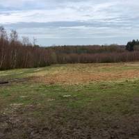 Keep to the left of the open Heathland, heading for the bottom left hand corner