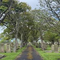 Go through the gates to enter the cemetery along the central path.
