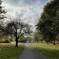 With the community centre behind you, head through the park as you like or follow this route towards the playground.