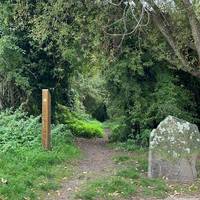 At the path junction, cross a large tarmac path and then head right downhill on an earth path by a waymarker for Crews Hole.
