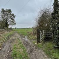 Enter the field through the metal gate next to the last house.