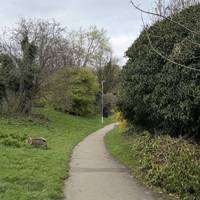 Follow the curved path leading you away from the road.