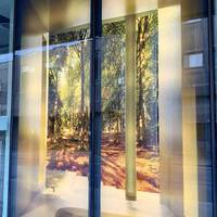 Lore of the Land. A Light box at the Magistrates Court of a woodland scene. By Leon Palmer & Anna Heitreich 2012.