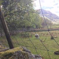 The climb is well marked, with steps and benches to rest on. The views are great. 