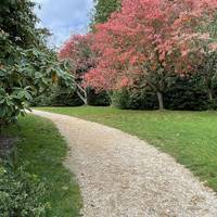 There are tens of different tree species here alongside rhododendrons and it was lovely to see them in autumn. Follow the path to the right.