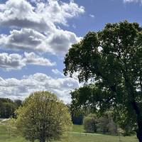 This walk takes you through old trees and rewilded fairways. Expect flat paths, a crescent-shaped lake and gardens.
