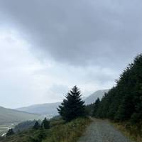 Walk round the gate and along the gravel footpath.